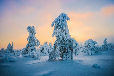 15 Reasons Why Lapland, Finland Is the Best Place to Celebrate Christmas