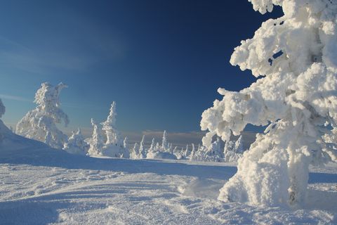 15 Reasons Why Lapland, Finland Is the Best Place to Celebrate Christmas