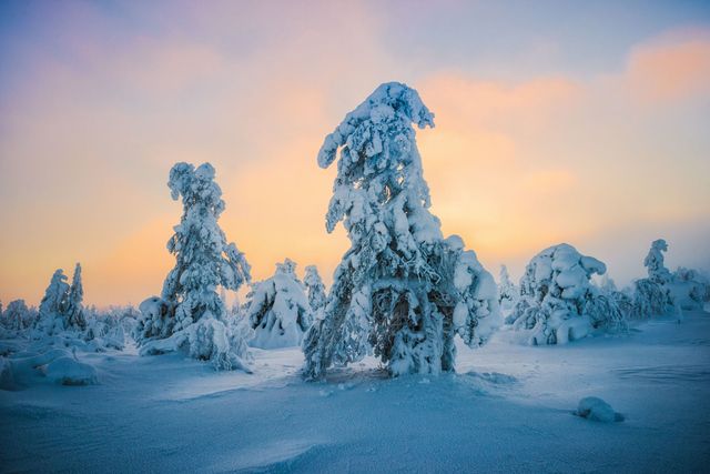 15 Reasons Why Lapland, Finland Is The Best Place To Celebrate Christmas