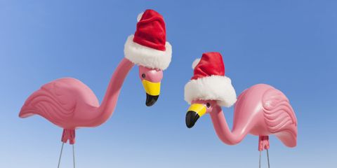 Flamingo hats