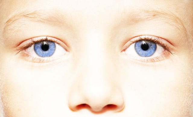 Eyebrow, Face, Eye, Nose, Eyelash, Skin, Close-up, Iris, Organ, Head, 