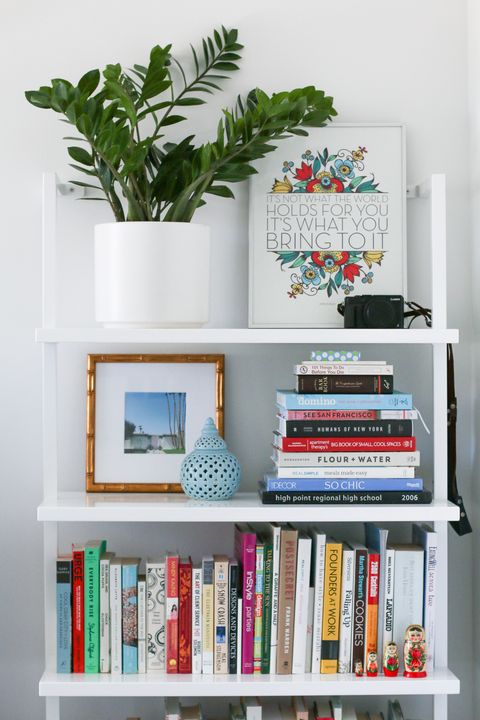 Shelf, Shelving, Leaf, Interior design, Wall, Publication, Room, Teal, Azure, Turquoise, 