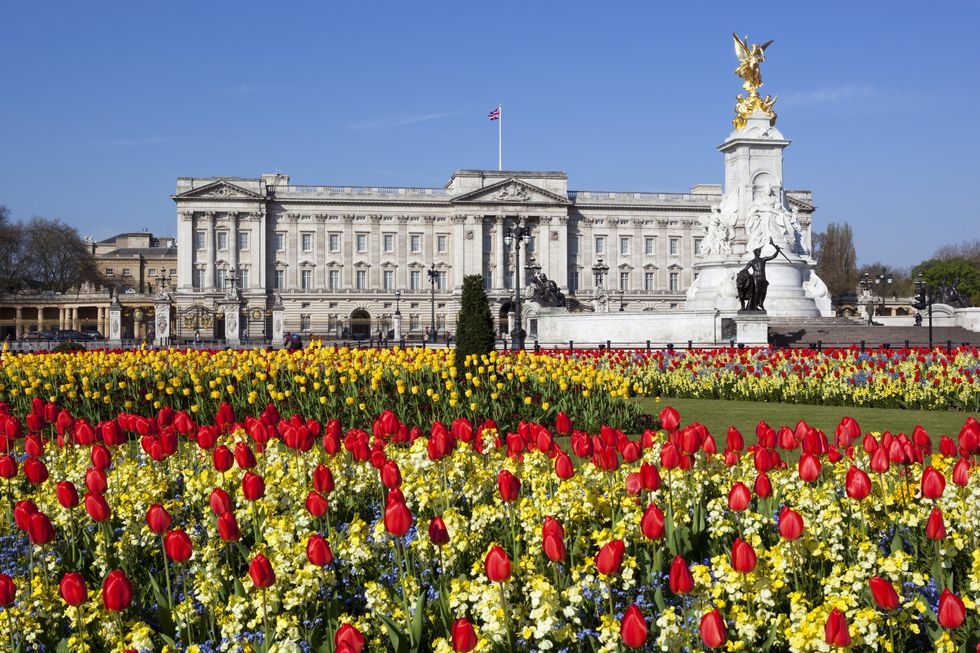 buckingham palace