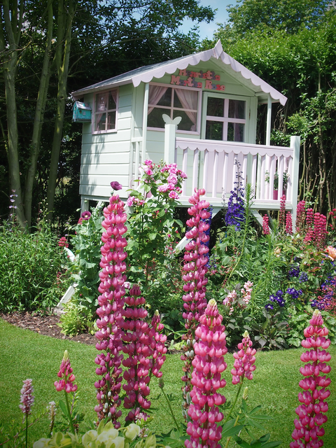 Plant, Flower, Garden, House, Shrub, Pink, Magenta, Home, Cottage, Yard, 