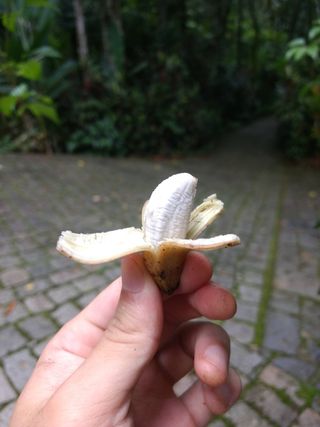 tiny banana