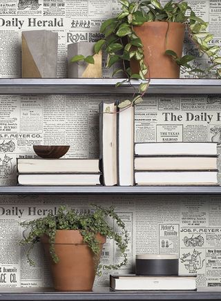 Plant, Flowerpot, Wall, Interior design, Publication, Houseplant, Rectangle, Still life photography, Pottery, Herb, 
