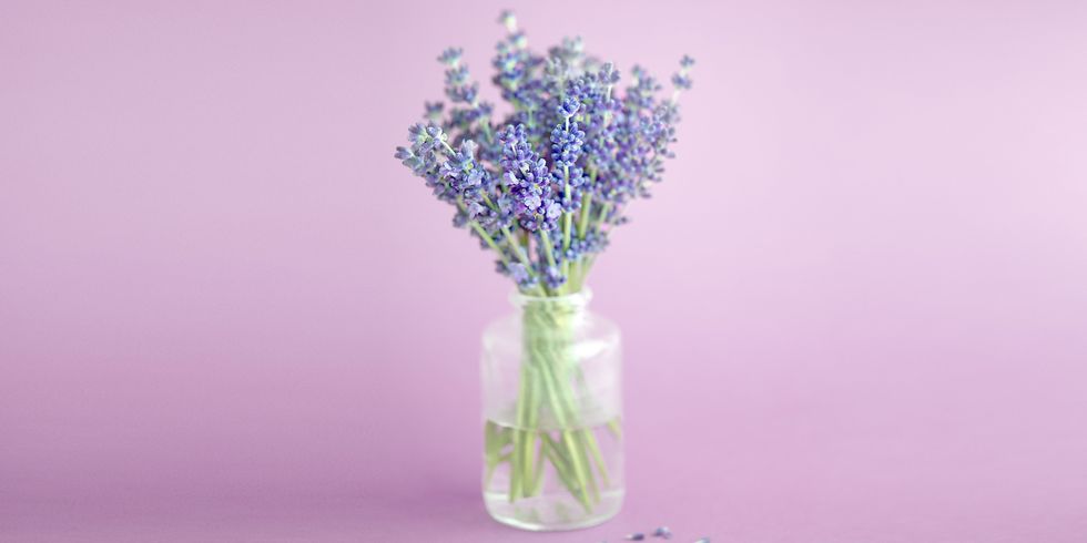 Lavender, Purple, Flower, Violet, Bouquet, Vase, Cut flowers, Artifact, Flower Arranging, Flowering plant, 