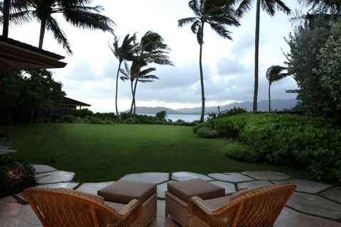 Tree, Furniture, Real estate, Outdoor furniture, Arecales, Resort, Outdoor table, Tropics, Garden, Palm tree, 