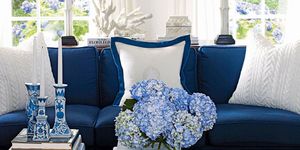Blue, White, Cobalt blue, Room, Living room, Flower, Pillow, Furniture, Hydrangeaceae, Plant, 
