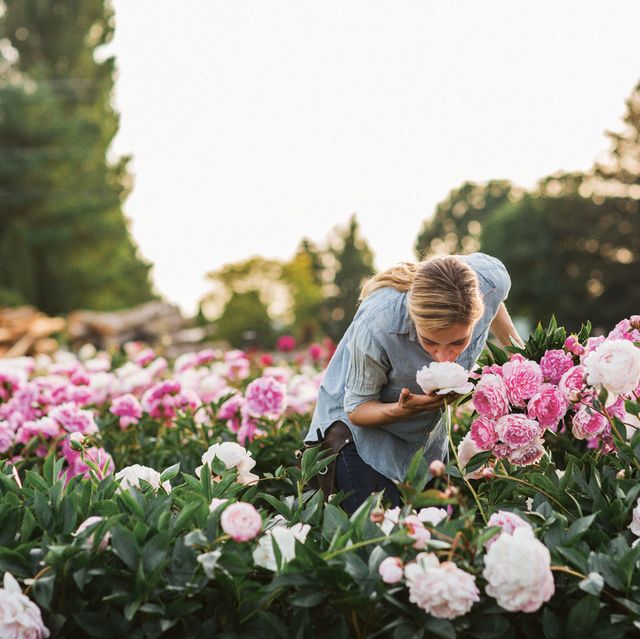 Yardzen Shares Spring Flowers Landscape Designers Swear By 2024