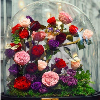 Forever Roses Created By Rose Will Last Three Years