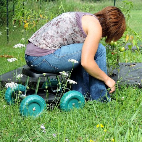 Grass, Jeans, Denim, People in nature, Groundcover, Garden, Lawn, Agriculture, Gardening, Machine, 