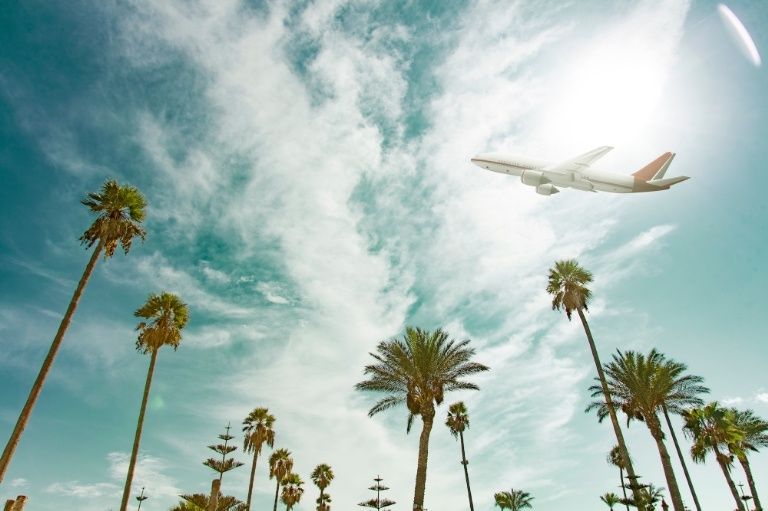 Airplane, Sky, Daytime, Cloud, Aircraft, Tree, Airliner, Air travel, Flight, Summer, 