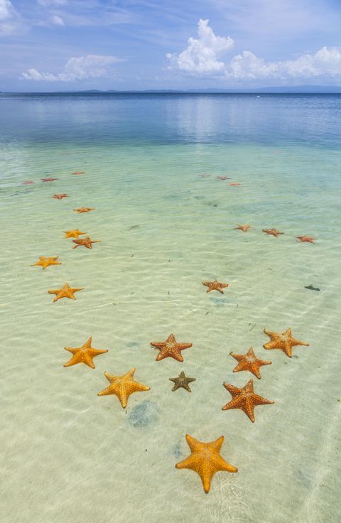 Starfish, Sky, Sea, Ocean, Beach, Blue, Sand, Tropics, Turquoise, Daytime, 