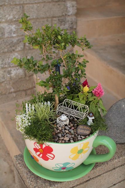 teacup fairy garden