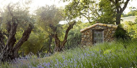 Stone Landscaping Ideas - Wendy Owen's Sonoma Property