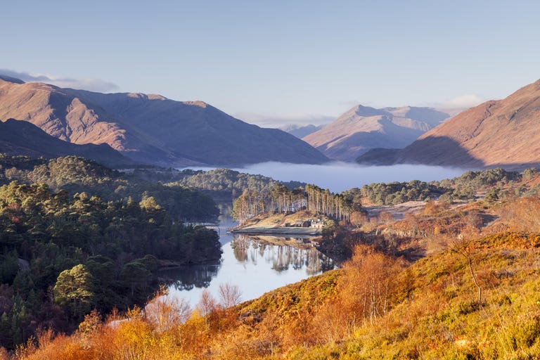 Glen Affric in Scotland - Pippa Future Lady of Glen Affric