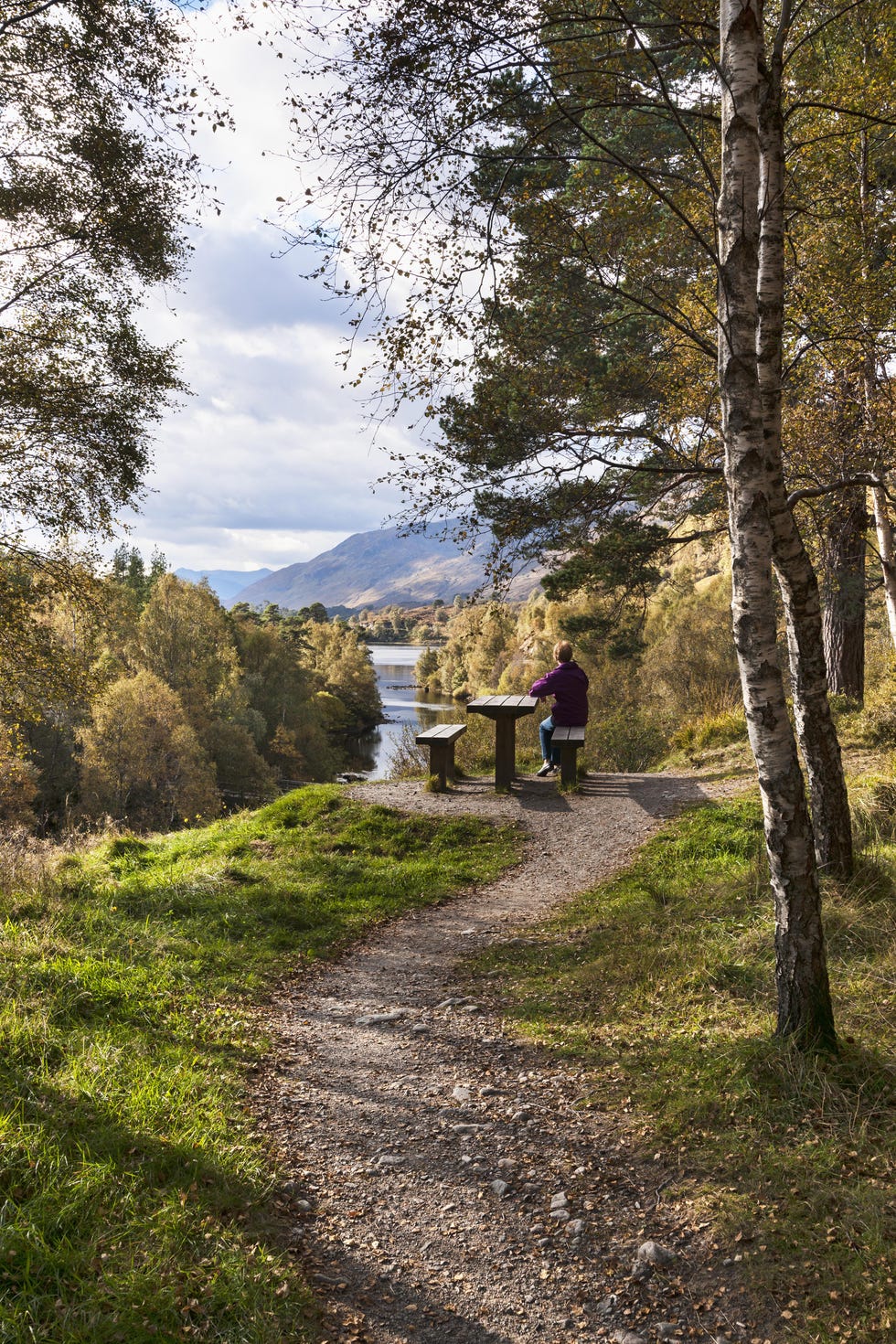 Glen Affric in Scotland - Pippa Future Lady of Glen Affric