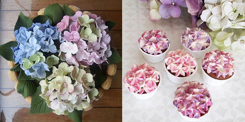 Hydrangea Cakes Hydrangea Cupcakes