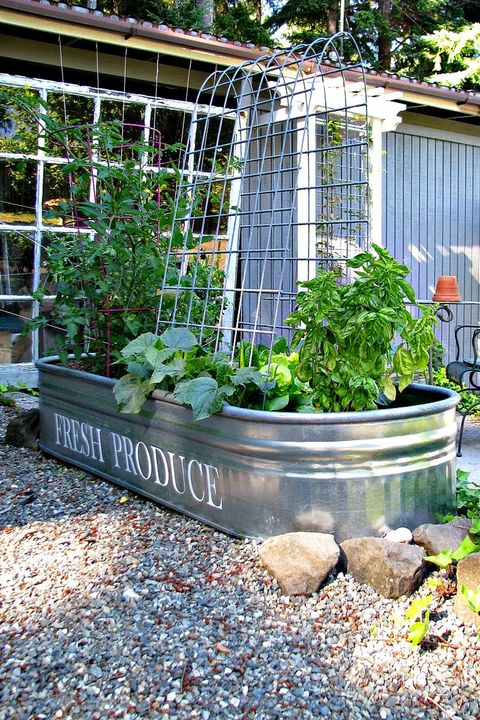 <p>Does a big sprawling garden sound unmanageable? Keep things contained and compact by using a galvanized feed trough as a raised gardening bed.</p><p><strong data-redactor-tag="strong" data-verified="redactor">Get the tutorial at <a href="http://www.blueroofcabin.com/2014/06/a-managable-veggie-garden.html" target="_blank" data-tracking-id="recirc-text-link">Blue Roof Cabin</a><span class="redactor-invisible-space" data-verified="redactor" data-redactor-tag="span" data-redactor-class="redactor-invisible-space">.</span></strong></p>