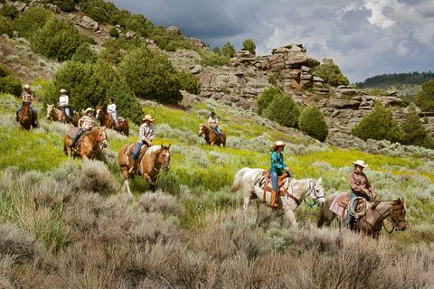 Trail riding, Horse, Ranch, Grassland, Recreation, Ecoregion, Herd, Wrangler, Landscape, Rural area, 