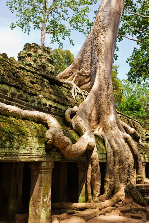 Ангкор, Камбоджа