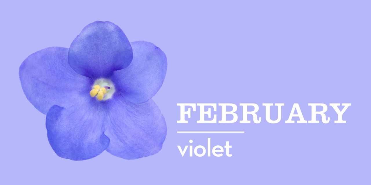 korean birth flower november 15