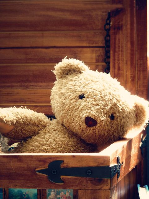Teddy bear, Toy, Stuffed toy, Fur, Plush, 