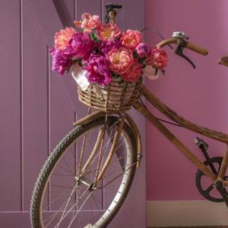 Bicycle wheel, Bicycle accessory, Bicycle part, Bicycle, Pink, Bicycle basket, Product, Vehicle, Bicycle tire, Spoke, 