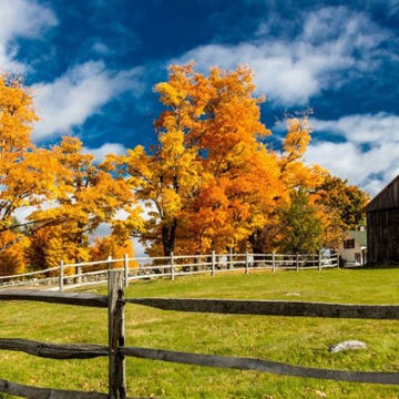 30 Beautiful Fall Pictures