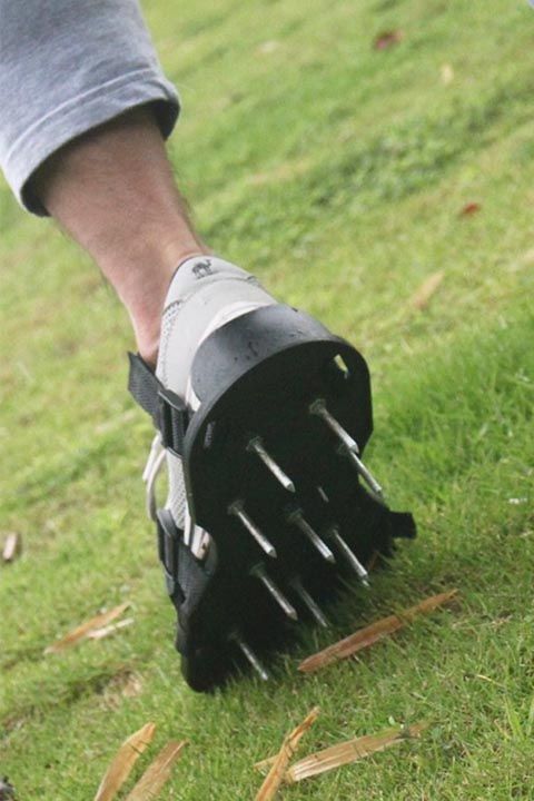 lawn aerator shoes