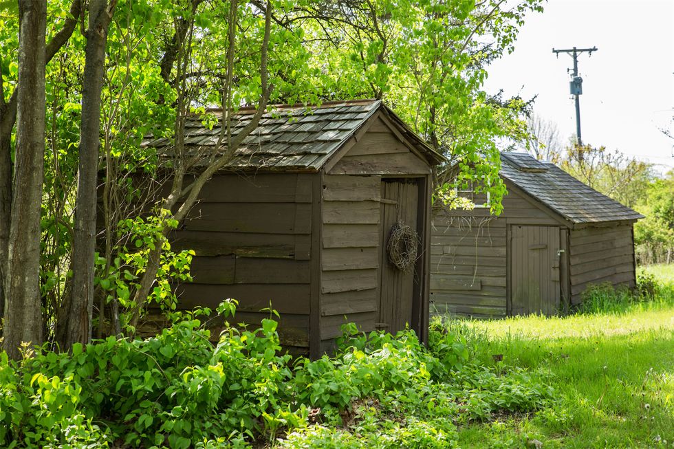 Shed, Shack, Outhouse, Garden buildings, House, Building, Tree, Log cabin, Cottage, Rural area, 