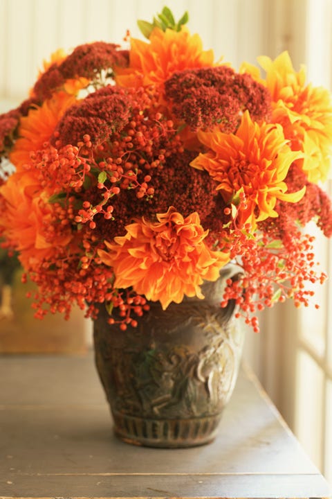 fall flowers