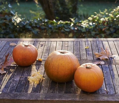 Pumpkins on garden table