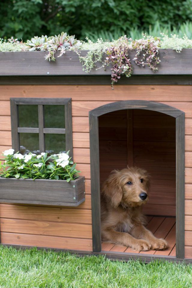 15 Best Fancy Dog Houses - Cool Luxury Dog Houses To Buy