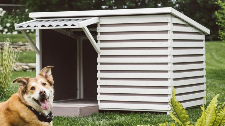 15 Best Fancy Dog Houses - Cool Luxury Dog Houses To Buy