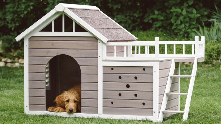 15 Best Fancy Dog Houses - Cool Luxury Dog Houses To Buy