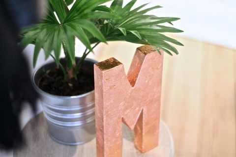 Flowerpot, Terrestrial plant, Houseplant, Peach, Interior design, Annual plant, Plant stem, Herbaceous plant, Perennial plant, 