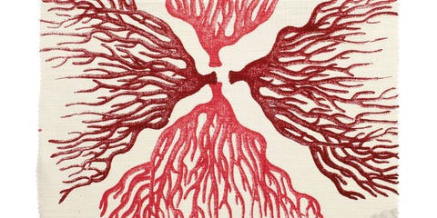 8 Pretty Coral Patterned Fabrics
