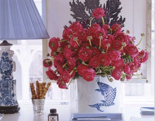 Red ranunculus in a blue and white vase.