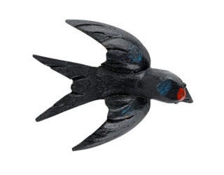 black bird