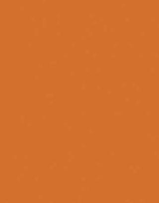orange 2014-20 paint swatch
