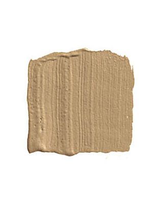 Colors For Men Paint Guys Like Camel Back Benjamin Moore