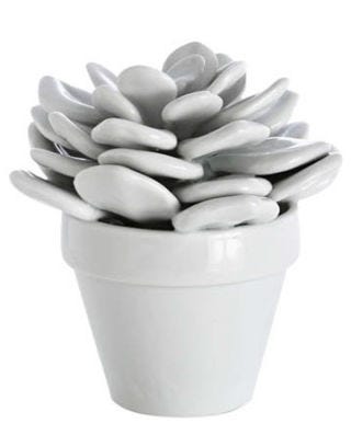 porcelain cactus