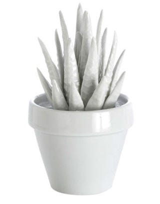 porcelain cactus