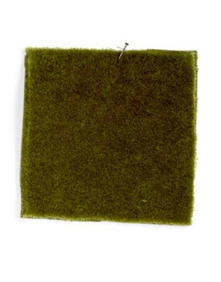 green velvet fabric swatch