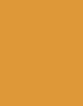 orange paint swatch