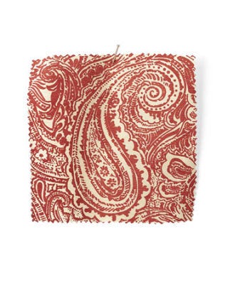 paisley fabric swatch