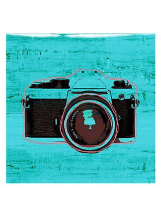 digital deco camera print