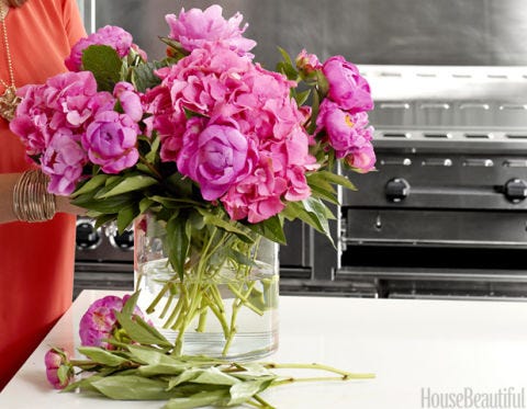 Peony Flower Care Season Image